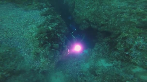 Buceador Explorando Una Cueva Buceador Con Luz Buceo Buceo Una — Vídeos de Stock