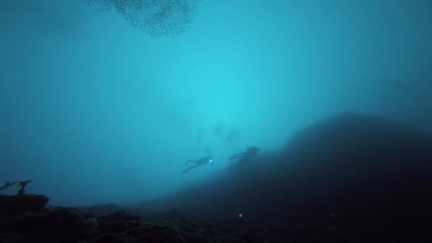 Tauchergruppe Blauen Wasser Silhouetten Von Tauchern Low Angle Shot Luftblasen — Stockvideo