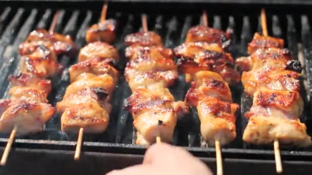 Lekkere Chicken Breast Skewers Grillen Charcoal Barbecue Barbecue Met Heerlijk — Stockvideo