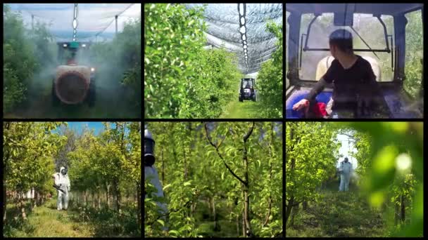 Orchard Spraying Conceptual Multi Screen Video Young Farmer Portrait Cabin — Stock Video