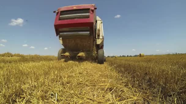 Balící Stroj Seno Vykládání Válcového Balíku Sena Traktor Balicím Strojem — Stock video