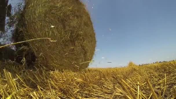 Traktor Bálázó Gép Dolgozik Egy Betakarított Mező Szénabálázó Gép Kirakodása — Stock videók