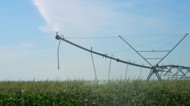 Máquina Irrigação Agrícola Pulverizando Culturas Milho Com Água Movimento Lento — Vídeo de Stock