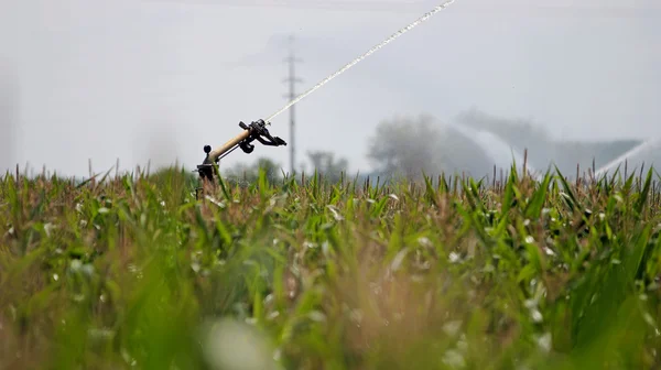 Regen pistool sprinkler irrigatiesysteem — Stockfoto