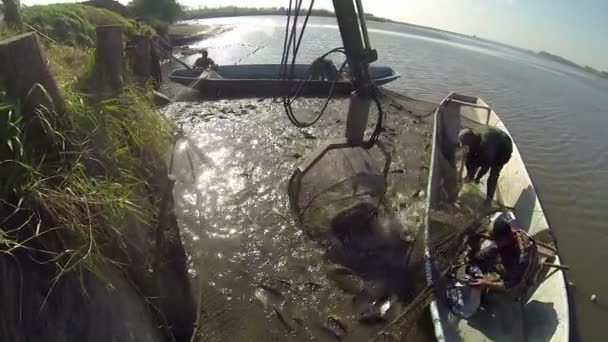 Вивантаження свіжого лову риби — стокове відео