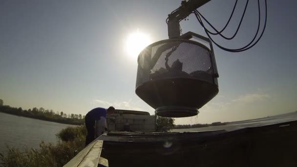 Déchargement des captures fraîches de poisson — Video