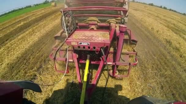 Hay Baler (Aurora) werken in veld — Stockvideo