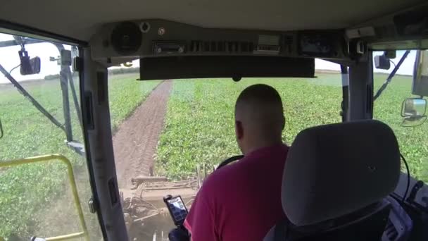 Landwirt erntet Zuckerrüben — Stockvideo