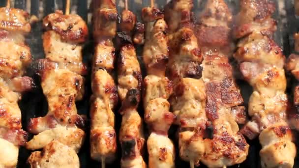 Barbecue s grilovaným masem — Stock video