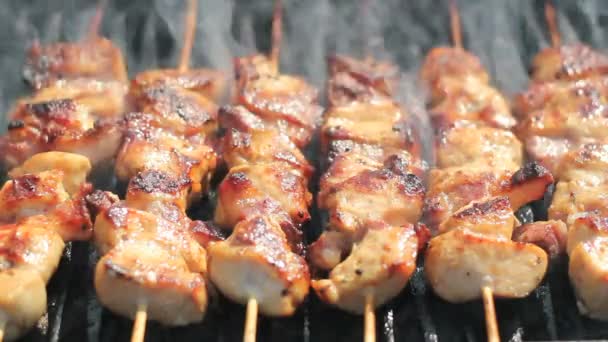 Barbecue con carne alla griglia — Video Stock
