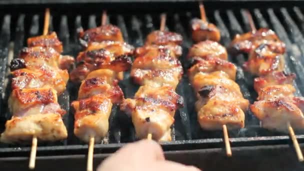 Barbecue met gegrild vlees — Stockvideo