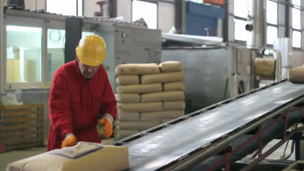 Warehouse worker in overalls — Stock Video