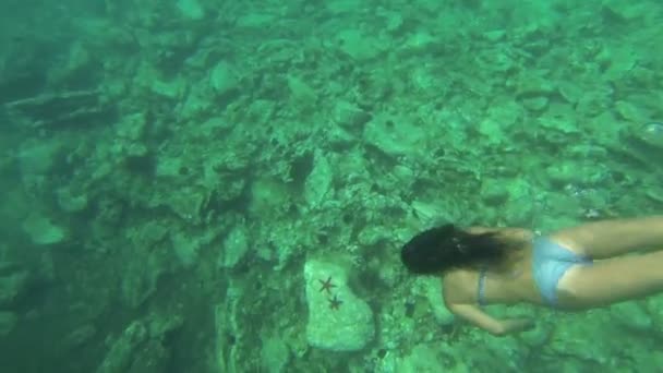 Дівчина пірнає за Морська зірка — стокове відео