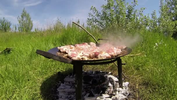 Kött stekning utomhus — Stockvideo