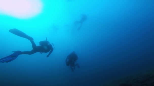 Group of Scuba Divers Ascending — Stock Video