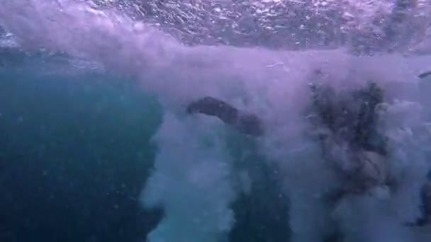 Búvár ugrás az óceánba — Stock videók