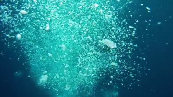 Bulles d'air dans l'océan bleu surgissant des profondeurs — Video