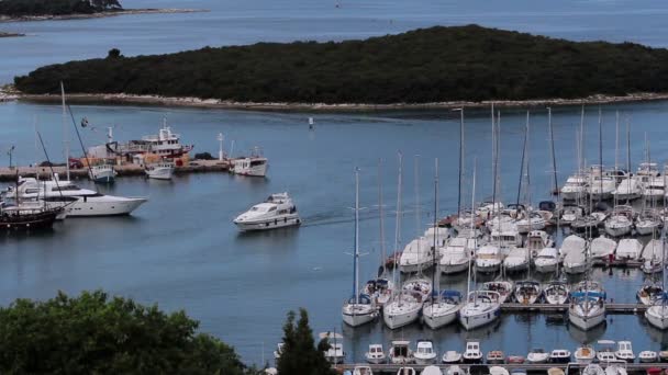 Luxusyachten und Boote — Stockvideo