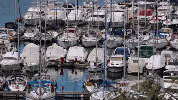 Segelboote und Yachten — Stockvideo