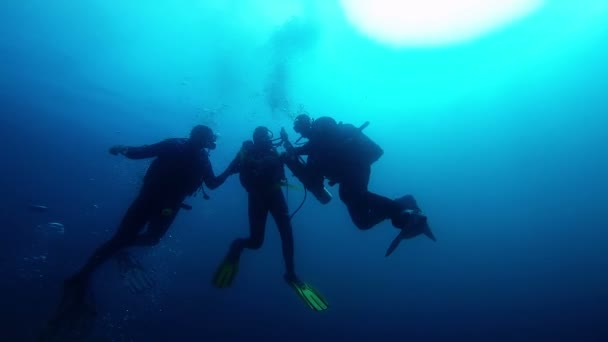 Rescue Divers Learning Rescue Techniques in Open Waters — Stock Video