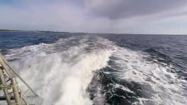 Boat Wake in the Sea — Stock Video