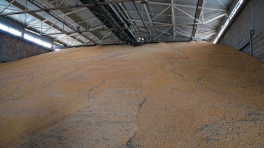 Grain Warehouse
