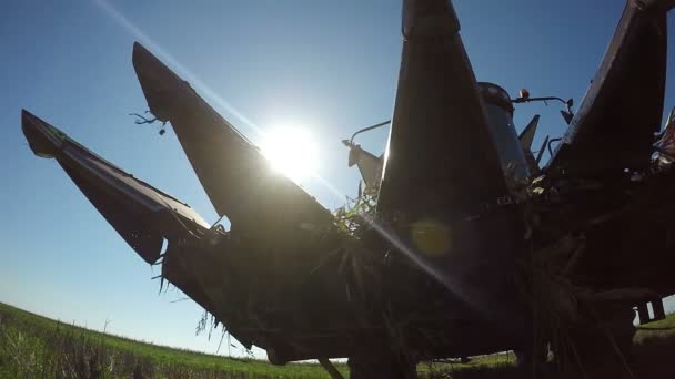 Combine Harvester contra o sol — Vídeo de Stock