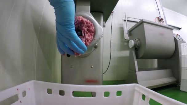 Industrieller elektrischer Fleischwolf, der Fleisch verarbeitet — Stockvideo