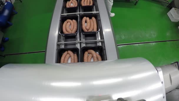 Indústria de carne - Máquina de embalagem a vácuo bandeja automática — Vídeo de Stock