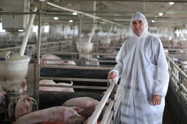 Veteriner Doktor giyiyor koruyucu elbise