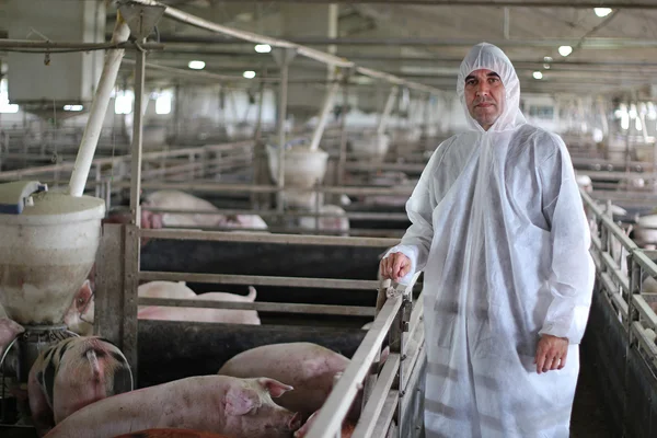 Veterinário Doutor vestindo terno protetor — Fotografia de Stock