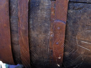 Şarap fıçısının arka planında örümcek ağı