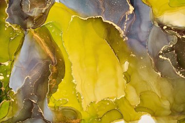 Şeffaf renk akımları, yılan gibi kıvrılan metalik girdaplar ve köpüklü renk spreyleri bu serbest akan dokuların manzarasını şekillendirir. Alkol mürekkebi tekniğindeki doğal lüks, akışkan sanat resimleri.