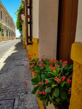 ARTAJİNA KOLOMBIAWALLED ŞEHRİ VE TRADİTİM, DÜNYA HİKAYESİ BİLİYOR