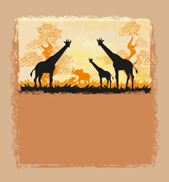 Savannah Africano e cartão de silhueta girafa —  Vetores de Stock