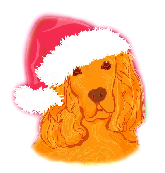 美国可卡犬放下戴圣诞老人帽子 — 图库照片