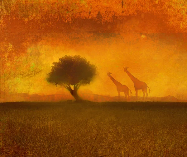 Background with African fauna and flora — Stock Photo, Image