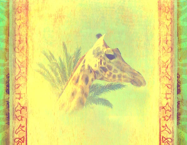 Grunge háttér, zsiráf és tenyérrel — Stock Fotó