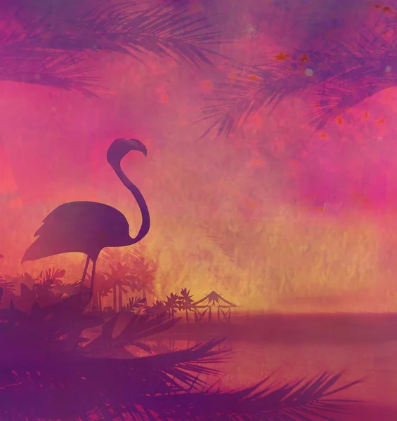 Flamant rose sur le coucher de soleil tropical paisible — Photo