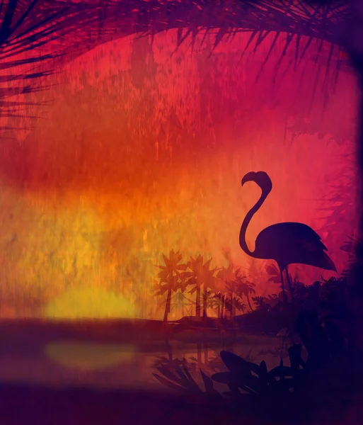Flamingo on Tropical Peaceful Sunset — Stock Photo, Image
