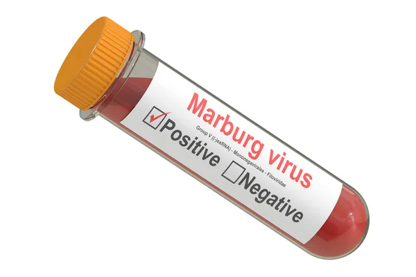 Тестовая трубка с положительным образцом крови Марбургский вирус, 3D рендеринг — стоковое фото