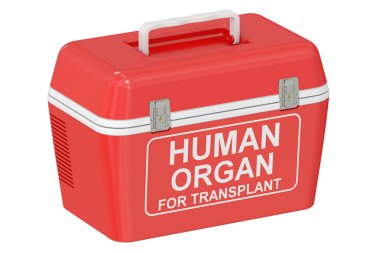 Donör organ, 3d render taşıma için taşınabilir buzdolabı