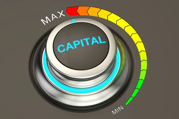 Controlador de capital, nível mais alto de capital. Renderização 3D — Fotografia de Stock