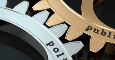 Kamu Politikası şanzımanı, 3 boyutlu animasyon videosu