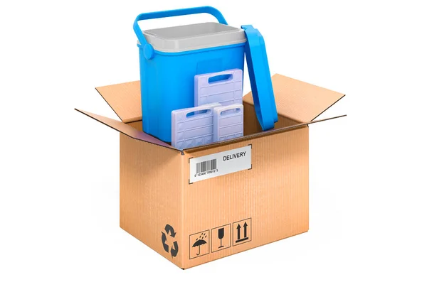 Portable Cooler Chilly Bin Cardboard Box Delivery Concept Rendering Isolated — Stock Photo, Image