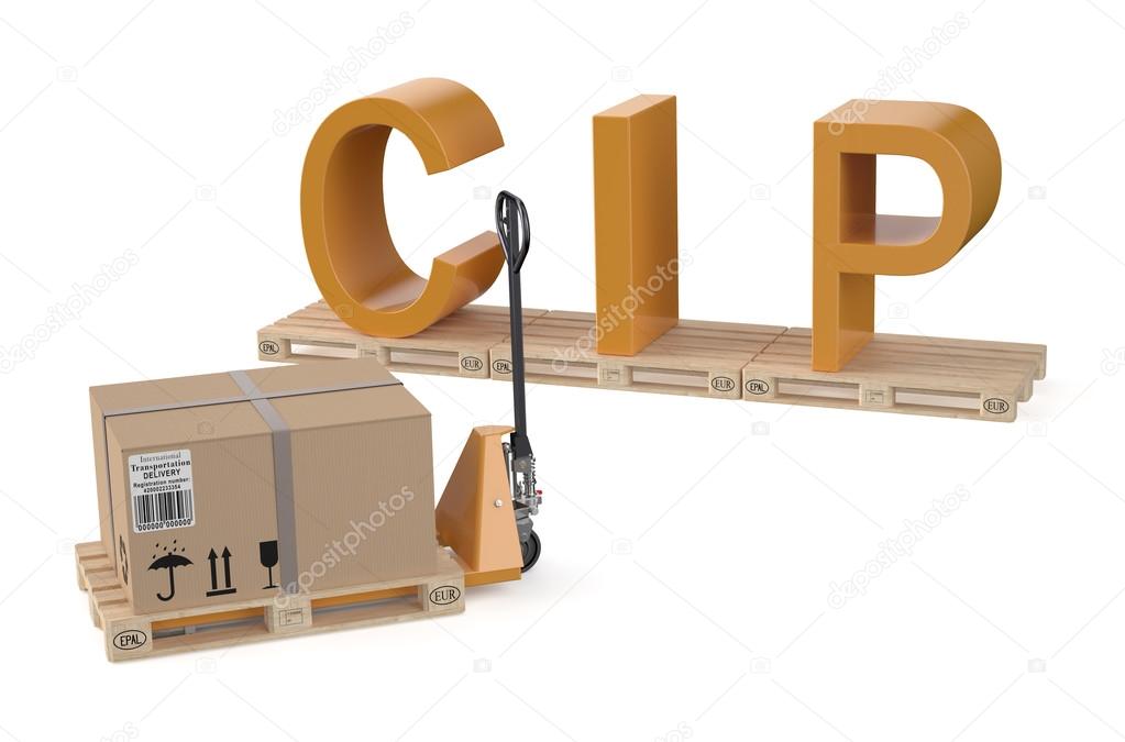 CIP concept