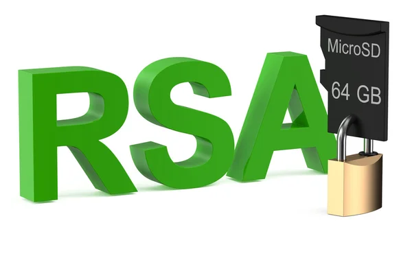 RSA koncept med lock — Stockfoto