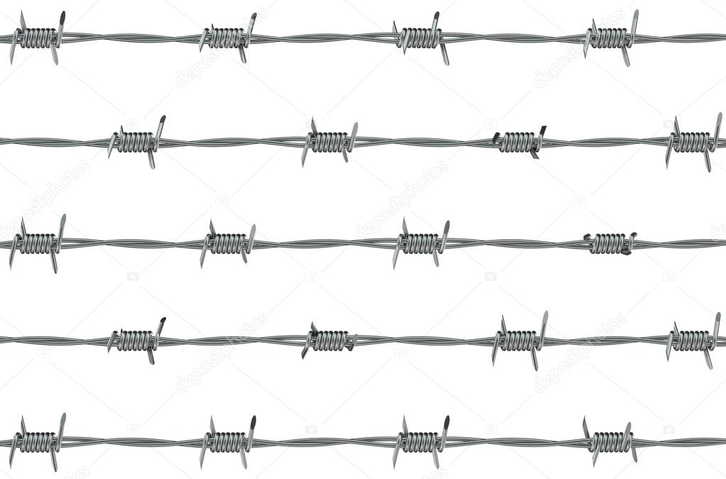 barbed wire on white   background