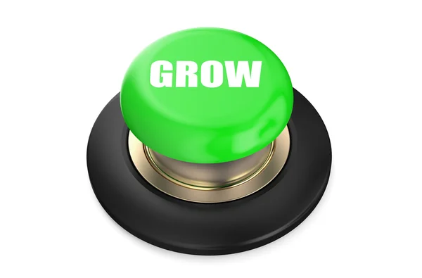 Growth Green button — Stock Photo, Image