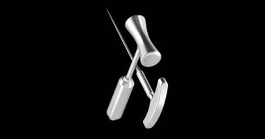 Orbitoclast, lobotomi dönüş animasyonu için kusursuz döngü araçları. Şeffaf arkaplanda 3B görüntüleme izole edildi